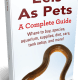A good book for anyone thinking about keeping eels as pets