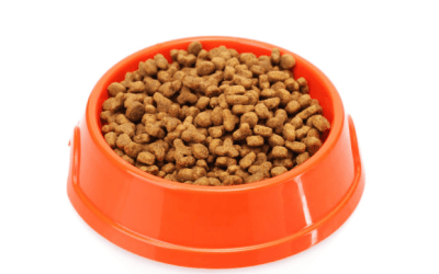 Tips in Selecting a High-Quality Cat Food Brand