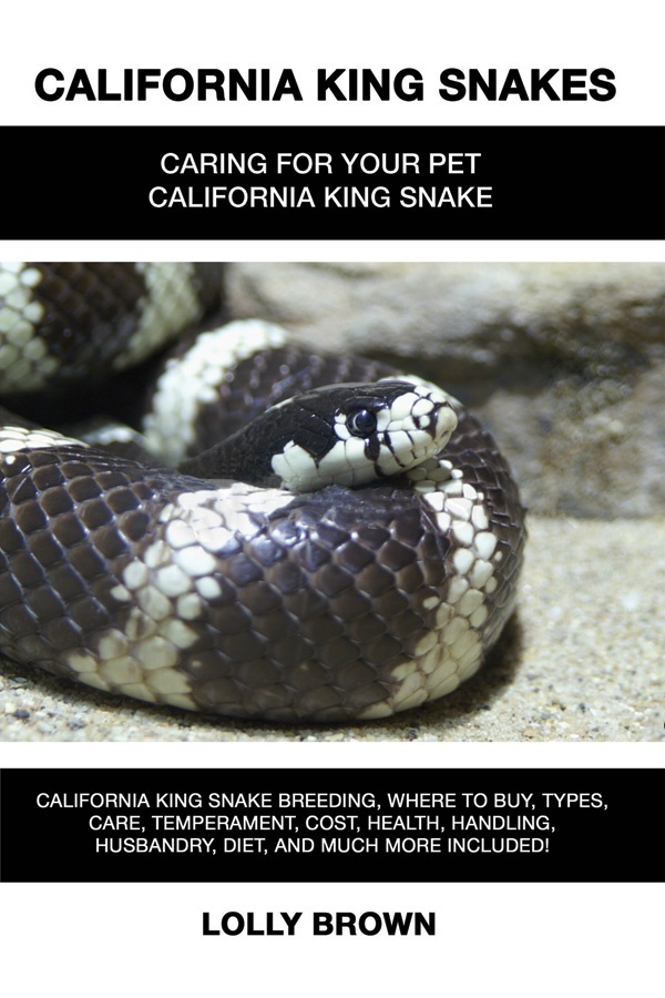 california-king-snakes-book-cover